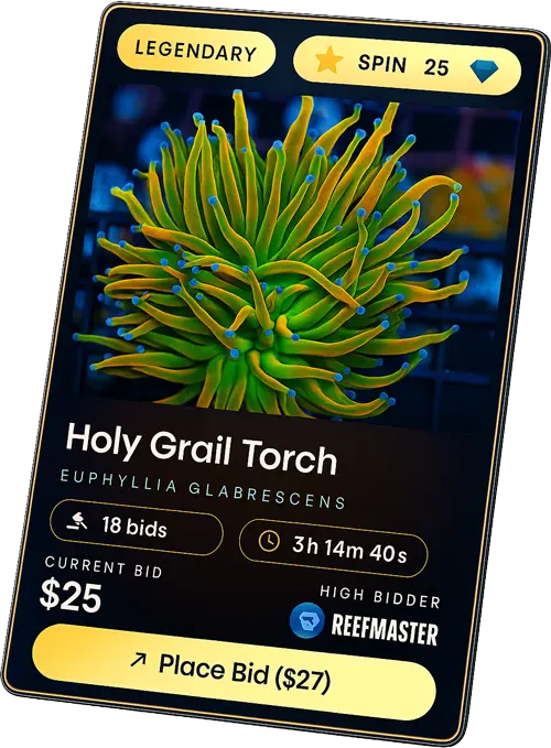 Preview of a ReefRivals coral card showing Coral ID #0429, a 'Legendary' rarity coral named 'Neon Noodle'.